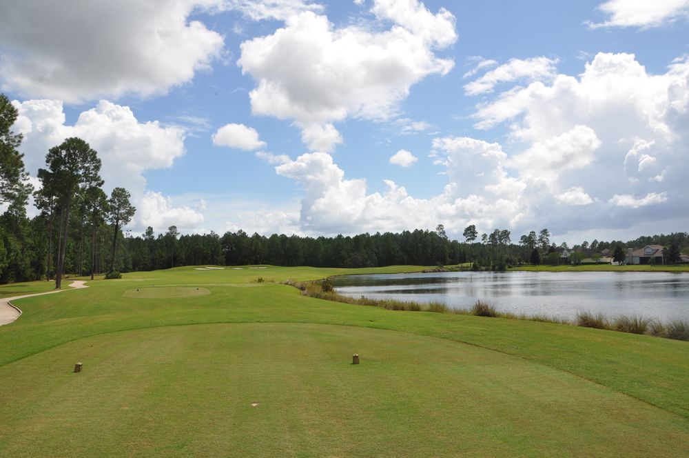 Course The Golf Club at South Hampton